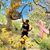 Lee Alexandra Walton-Poepoe's profile image