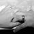 Patricia Peters's profile image