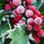 Holly Prosser's profile image