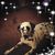 Angelo Vitalone Sr's profile image