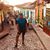 Louis Novoa's profile image