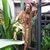Jimi Watusi's profile image
