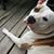 Greg Mixon's profile image