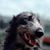 Neal Scroggs's profile image