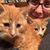 Karla Swartzbaugh's profile image