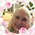 Mary Lou Webb's profile image