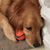 Walter Tilford's profile image