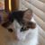 Melinda Evans's profile image