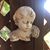 Miriam Elizabeth's profile image