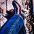 Fuego Gracia's profile image