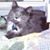 Lorraine Kovar's profile image