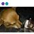 Joe Mantz's profile image