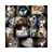 Amy Junes's profile image