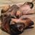 Keith Beall's profile image