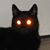 Ron William Bone Jr.'s profile image