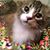 Lynn Mcbroom's profile image
