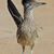 Barbara Willis Hughes's profile image