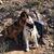 Kathy Dagneau's profile image