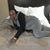 Tamera Nicole-Lynne Christion's profile image