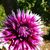 Rhonda Stubbs's profile image