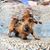 Kellie Faulkenberry's profile image