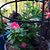 Carolyn Smith's profile image