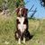 Christa Wortman's profile image
