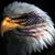Jason Quinn's profile image