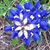 Judy Wisener's profile image