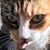 Eva Hachikian's profile image