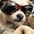 Lori Iwen's profile image