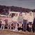 Lois Nemeth's profile image