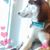 Brenda Langhoff Froehlich's profile image
