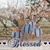 Sherry Owensby's profile image