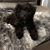 Lori Leonard Heffernan's profile image
