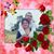 Anaira Reyes's profile image