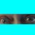 Terri Miller's profile image