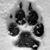 Jeffrey Van Vlair's profile image