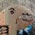 Melissa Ferguson's profile image