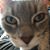 Vicky Heuer's profile image