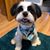 Sue Walker's profile image