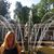 Jacqueline Walker's profile image