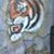 Donna Tuschhoff's profile image