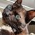 Dori Rachel's profile image