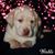 Carmen Tucker's profile image