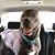 Shannon Mang Eppling's profile image