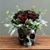 Cheryl McDaniel's profile image
