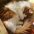 David Michaels's profile image