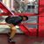 Armando Rivera's profile image