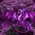 Kathy Burns's profile image